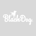 Blackdog Brewing Group & Pivovar Zlatá Kráva