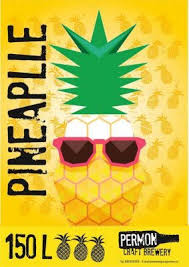 Pineapple 12° Fruit Ale