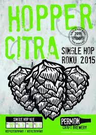 Hopper Citra 15° Single Hop Ale